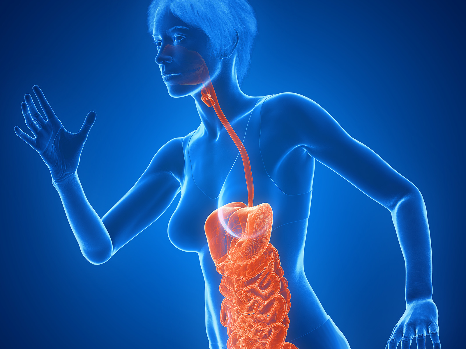 Metabolic and Endocrine Regulation